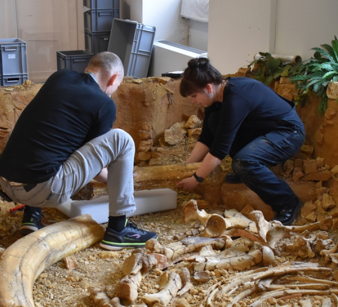 Archéologues en train d’extraire des ossements de grande taille lors d’une fouille.